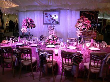 Vivianne Decor Nunta Ploiesti