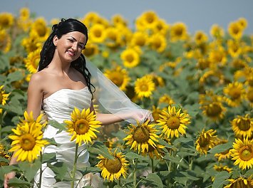 Foto Studio Enigma Nunta Ploiesti