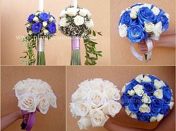 AGI Event Design Nunta Ploiesti