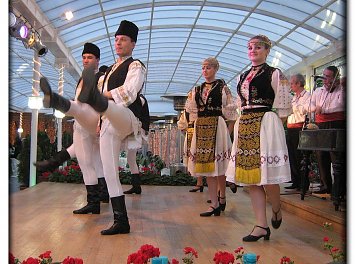 Dance Show Nunta Ploiesti