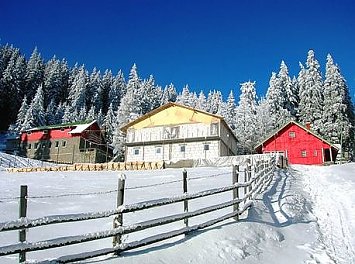Agentia de turism Danalex Nunta Ploiesti