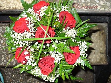 Floraria Ta Nunta Ploiesti