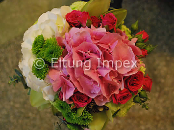 Eltung Flores Nunta Ploiesti