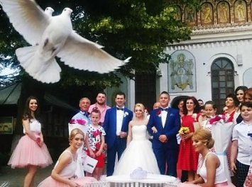 Porumbei albi Nunta Ploiesti